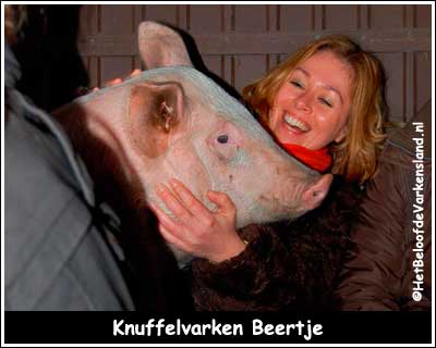 Knuffelvarken Beertje