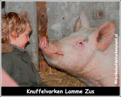 Knuffelvarken Lamme Zus