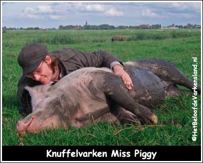 Knuffelvarken Miss Piggy