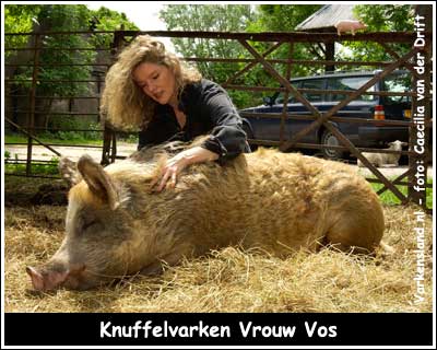 Knuffelvarken Vrouw Vos